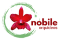 logo-nobile-orquideas